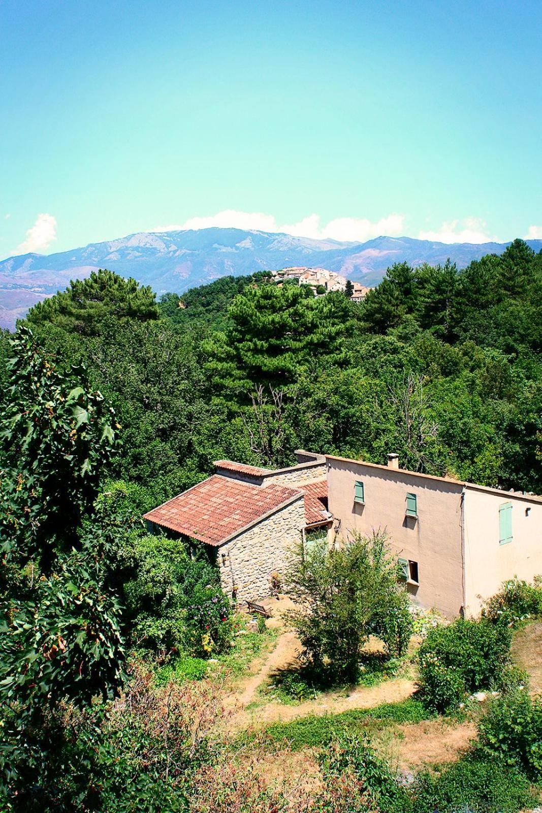 Hotel - Pub Le Petit Bosquet Santo-Pietro-di-Venaco Εξωτερικό φωτογραφία